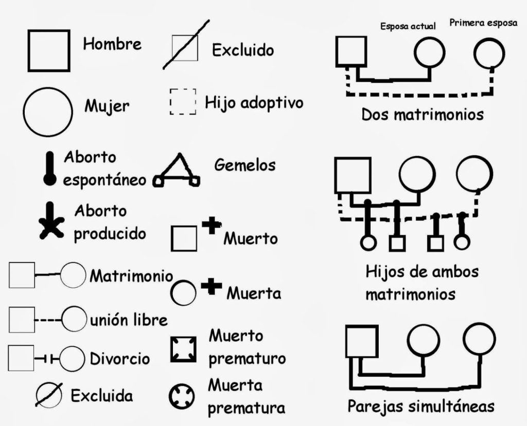 Familiograma ¿Qué es? ¿Para qué sirve? ¿Cómo hacerlo? 】